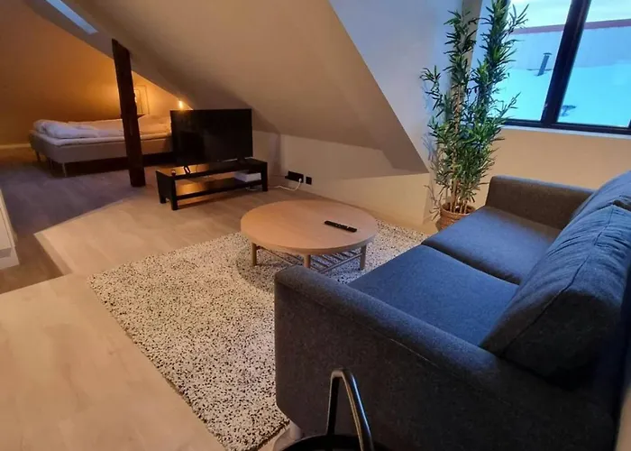 For 2 Apartmán Trondheim